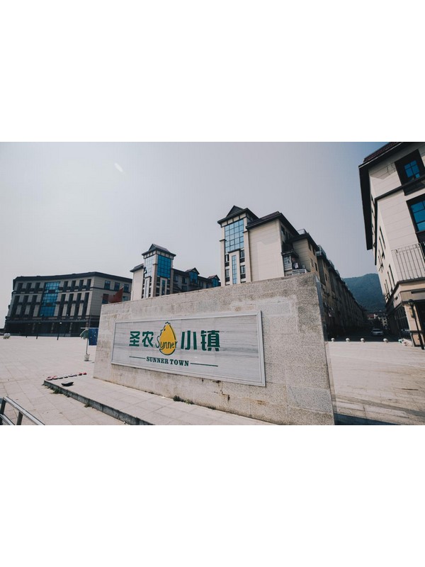 圣农小镇华圣桐城一期